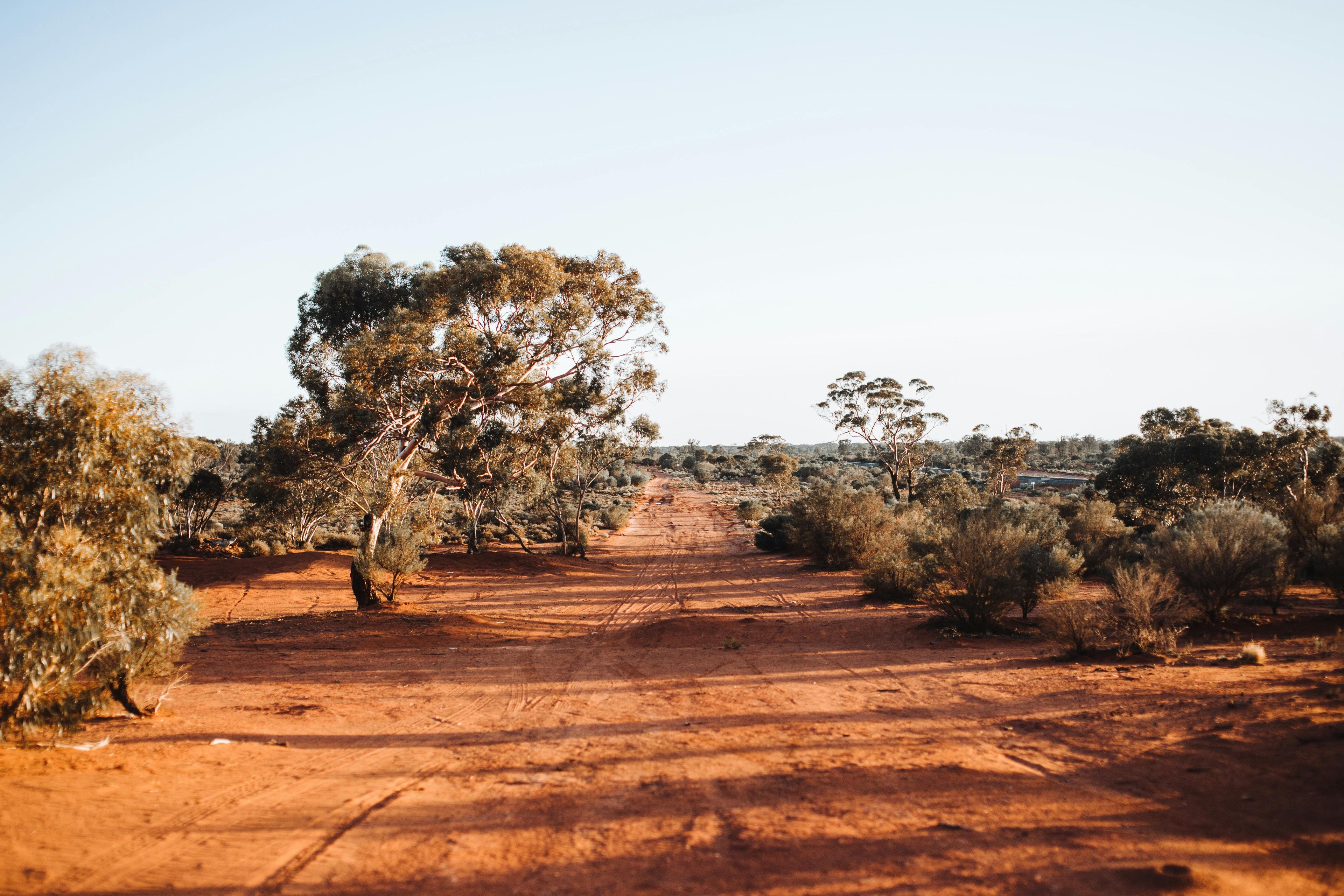How Adelaide’s Road Conditions Affect Tyre Wear — Tips for South Australia Drivers
