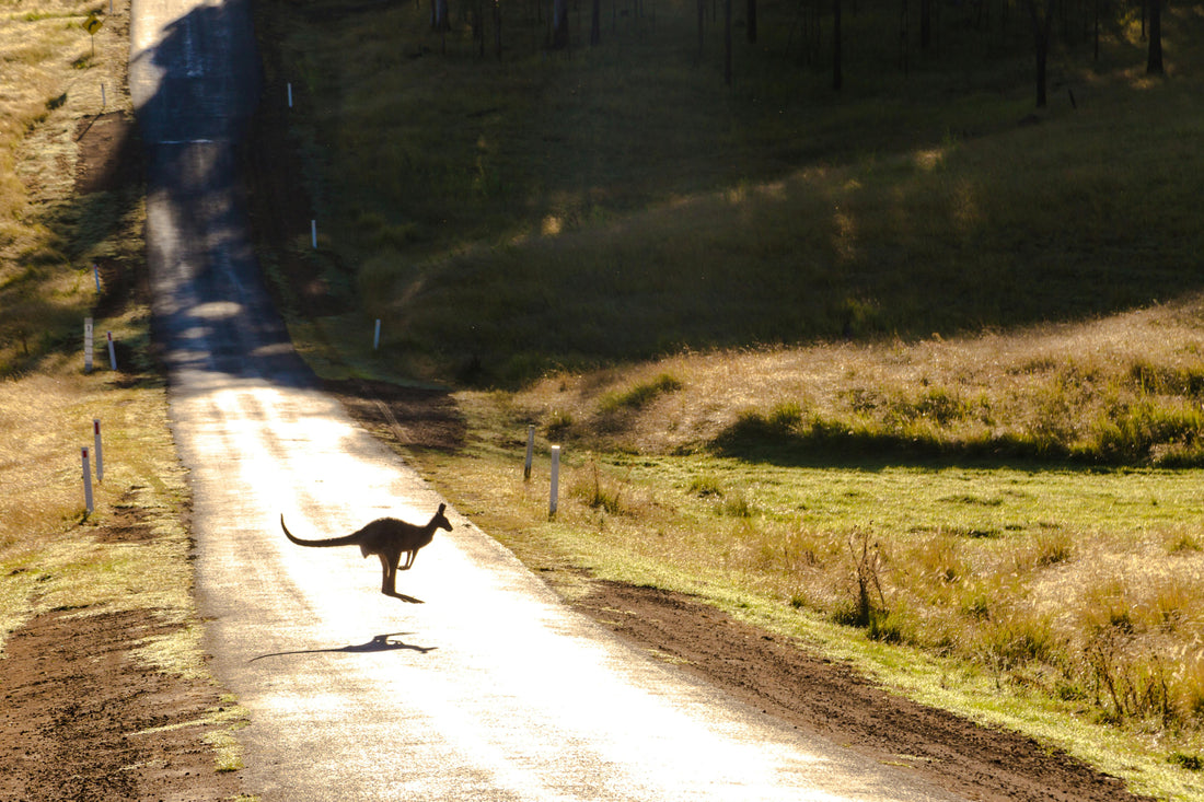 How Road Surface Types Affect Tyre Performance in Australia