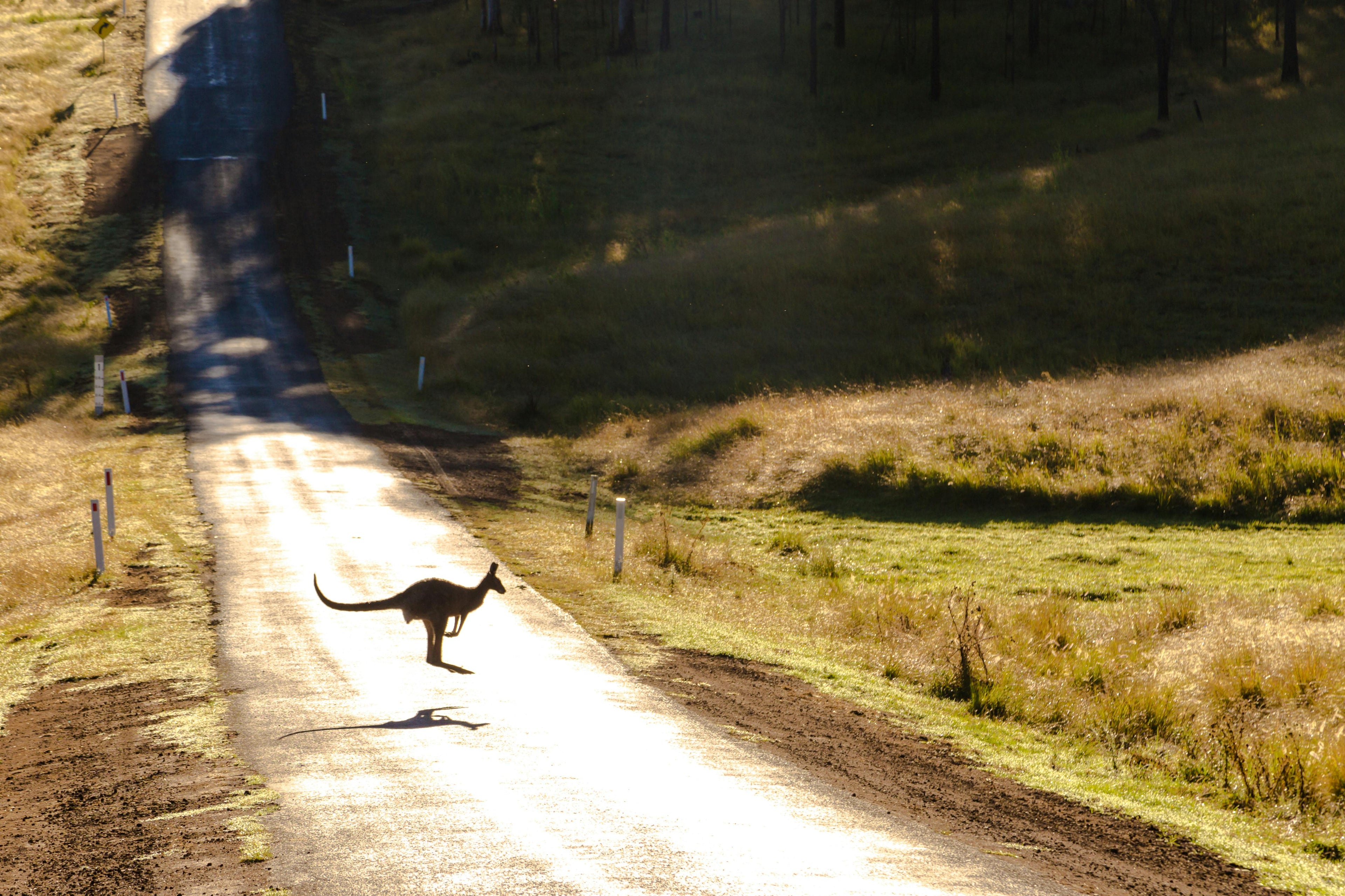 How Road Surface Types Affect Tyre Performance in Australia